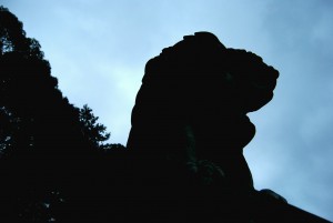 2020.10.14二荒山神社_狛犬2