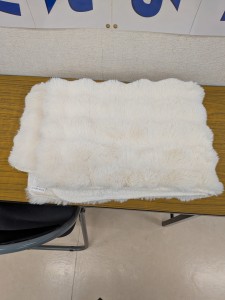 PXL_20251224_055821811 (002)