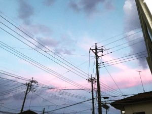 image_6483441_2